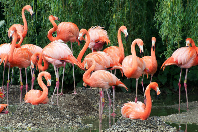 THE DELL COUNTRY HOLIDAY LET >> holiday let holiday home country retreat essex countryside essex holidays suffolk holidays suffolk tourism essex tourism suffolk countryside self catering accommodation boutique luxury welcome hamper visit essex visit suffolk family holiday staycation UK holiday UK break explore essex explore suffolk couples holiday relaxing holiday airbnb book direct home away from home colchester zoo colchester castle essex wedding venue essex wedding guest accommodation ipswich sudbury lavenham long melford