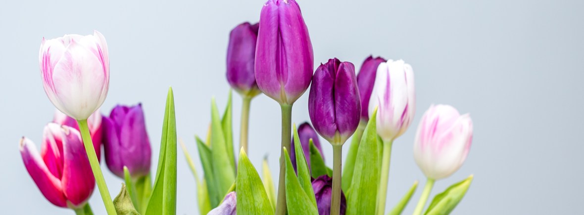 THE DELL COUNTRY HOLIDAY LET >> holiday let holiday home country retreat essex countryside essex holidays suffolk holidays suffolk tourism essex tourism suffolk countryside self catering accommodation boutique luxury welcome hamper visit essex visit suffolk family holiday staycation UK holiday UK break explore essex explore suffolk couples holiday relaxing holiday airbnb book direct home away from home colchester zoo colchester castle essex wedding venue essex wedding guest accommodation ipswich sudbury lavenham long melford