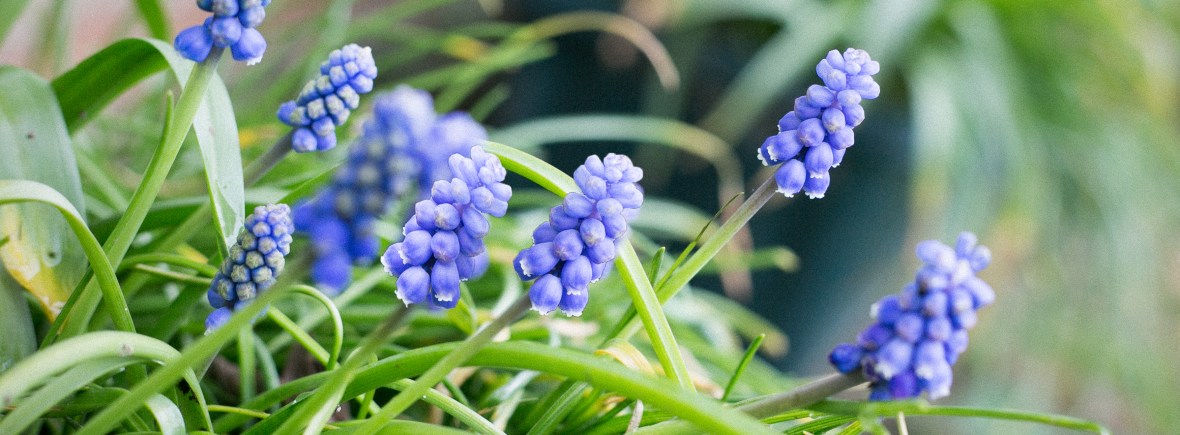 THE DELL COUNTRY HOLIDAY LET >> holiday let holiday home country retreat essex countryside essex holidays suffolk holidays suffolk tourism essex tourism suffolk countryside self catering accommodation boutique luxury welcome hamper visit essex visit suffolk family holiday staycation UK holiday UK break explore essex explore suffolk couples holiday relaxing holiday airbnb book direct home away from home colchester zoo colchester castle essex wedding venue essex wedding guest accommodation ipswich sudbury lavenham long melford